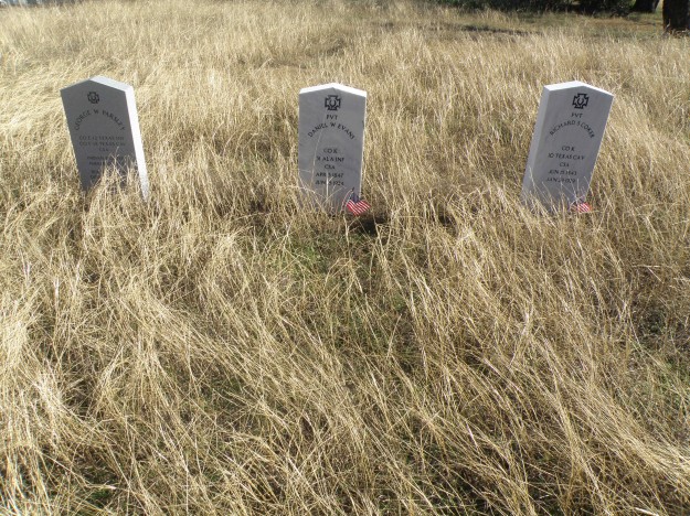 Quite a few Civil War burials here.